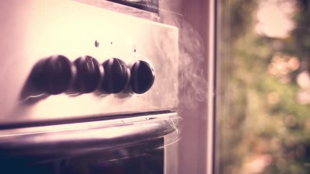 蒸汽从烤箱里冒了出来 Falscher Hase配方 4K视频配方 — 图库视频影像