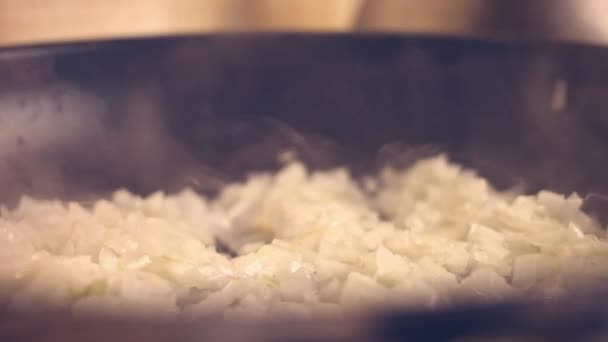 Τηγανίζω Κρεμμύδια Και Σκόρδο Συνταγή Του Falscher Hase Συνταγή Βίντεο — Αρχείο Βίντεο