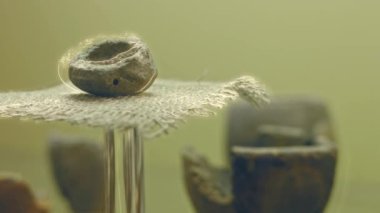 Close up museum pieces. Mayan art. Close up Mayan archaeological museum pieces.