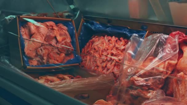 店内にはアカマスが展示されています おいしいと健康的な海の食べ物 — ストック動画