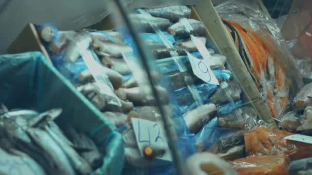 Kırmızı Balık Alabalıkları Bir Mağazada Sergileniyor Lezzetli Sağlıklı Deniz Yemekleri — Stok video