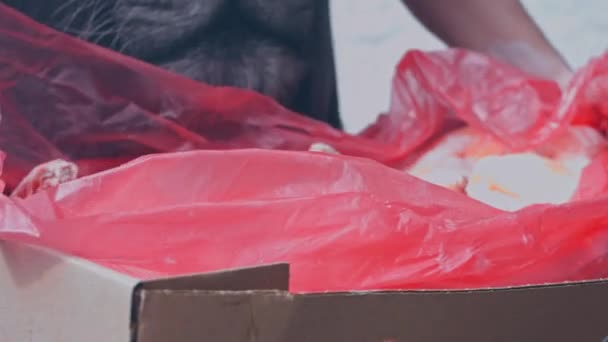 Worker Puts Box Frozen Meat Trunk Car Video — Stock Video