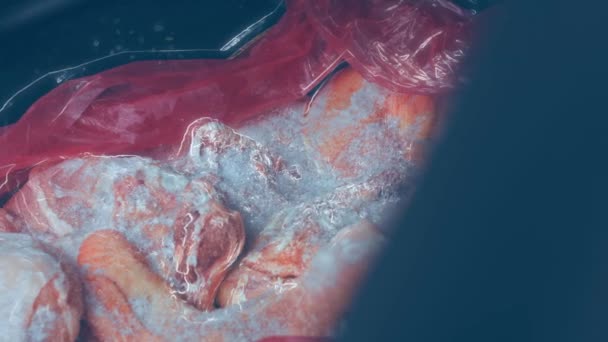 Operaio Mette Scatola Carne Congelata Nel Bagagliaio Dell Auto Video — Video Stock
