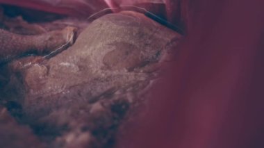 Eldivenli ellerin yakın plan görüntüsü tavuk bacağını bir kutudan ayrı plastik poşetlere paketliyor. Evde daha fazla kullanılmak üzere dondurulmuş etin süreci. Işık oynatma ile 4k video