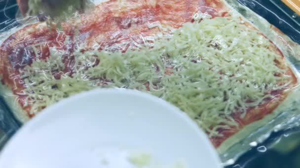 Jag Mozzarella New York Pizza — Stockvideo