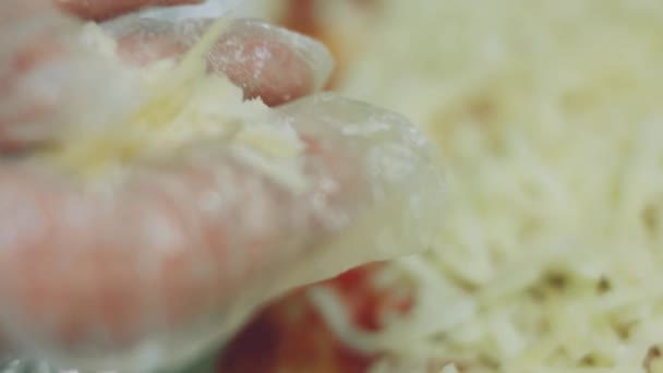 Положила Хлопья Чили Нью Йоркскую Пиццу — стоковое видео