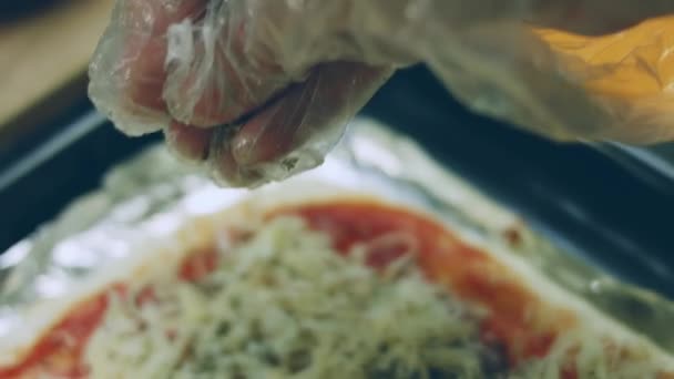 Albahaca Seca Prensada Pizza Nueva York — Vídeos de Stock