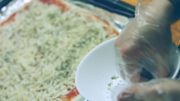 Basilic Séché Pressé New York Pizza — Video