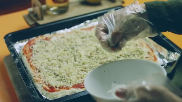 Gepresstes Getrocknetes Basilikum Bei New Yorker Pizza — Stockvideo