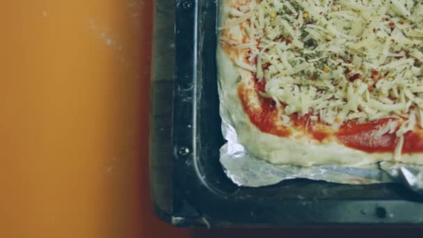 New York Pizzasına Mozzarella Koydum — Stok video