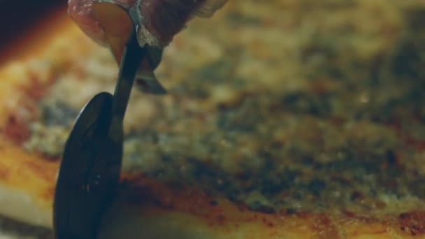 Pizza Bıçağıyla New York Pizzasını Kes — Stok video