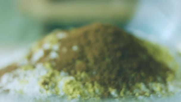 加肉桂 最好的自制姜饼饼干 — 图库视频影像