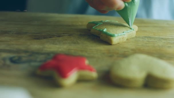 Zdobím Perníkové Sušenky Královskou Polevou Nejlepší Domácí Perník Cookie Vánoční — Stock video