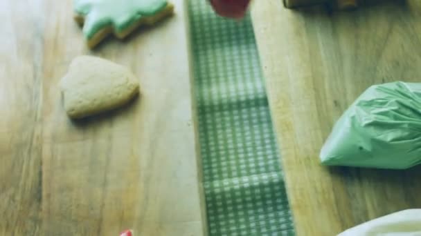 Zdobím Perníkové Sušenky Královskou Polevou Nejlepší Domácí Perník Cookie Vánoční — Stock video