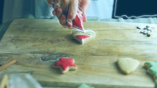 Zdobím Perníkové Sušenky Královskou Polevou Nejlepší Domácí Perníková Sušenka Santa — Stock video