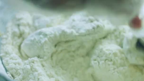 Hamur Için Gerekli Malzemeler Iyi Yapımı Zencefilli Kurabiye — Stok video