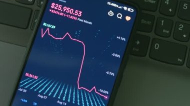 Akıllı telefon kullanan yatırımcı finansal veri kripto borsasını, bozuk para fiyatını analiz ediyor. Çevrimiçi ticaret. Kripto para birimi kavramı