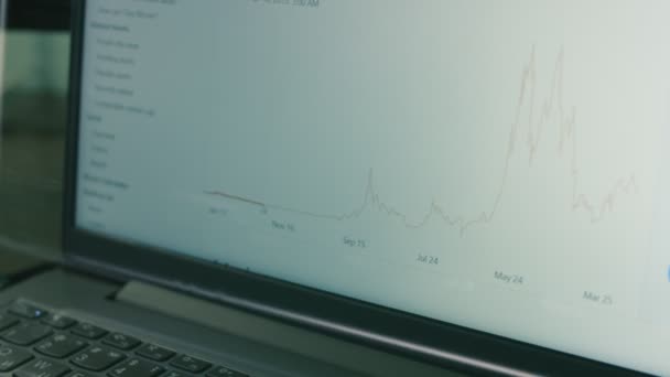 Krypter Data Dataskjerm Kryptovaluta Konsept Bitcoin Pris Siden Begynnelsen Til – stockvideo