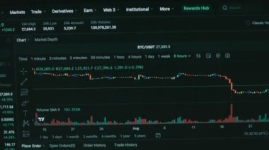 Bilgisayar ekranında şifreli veriler. Kripto para birimi konsepti. Piyasa fiyatlandırması. Bitcoin 'in finansal endeksleri zaman içinde borsa duvarında aşağı yukarı değişiyor. Hologram etkisi