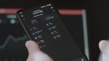 Akıllı para yönetimi. Bütçeyi izlemek için teknolojiyi kullanmak. Hesaplarını yapmak için cep telefonu kullanan biri. Aile kategorisine yeni harcamalar ekleniyor