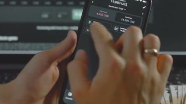 Akıllı para yönetimi. Bütçeyi izlemek için teknolojiyi kullanmak. Hesaplarını yapmak için cep telefonu kullanan biri. Gelir maaş kategorisi hakkında bilgi ekleniyor