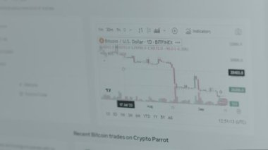 Şifreleme piyasası ve bilgisayar ekranındaki döviz kuru analiz ediliyor. Bitcoin fiyat endeksinde artış ve azalma gösteren grafikler. Yatırım kavramı