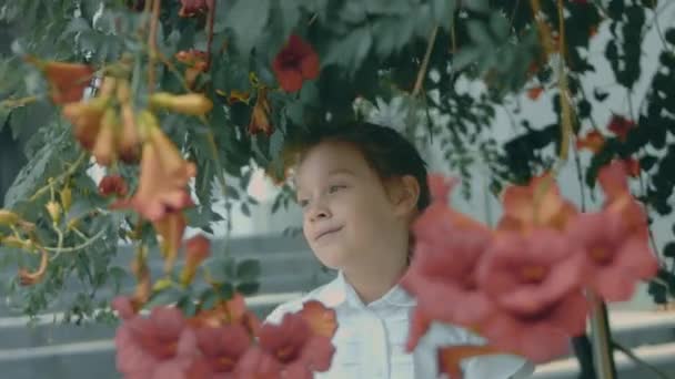 Piękna Szczęśliwa Uczennica Rasy Kaukaskiej Odpoczywa Parku Podziwiając Kwiaty Emanując — Wideo stockowe