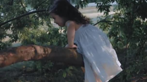 Χαρούμενο Σγουρό Κοριτσάκι Φόρεμα Σκαρφαλώνει Ένα Δέντρο Καλοκαίρι Εξοχή Διακοπές — Αρχείο Βίντεο