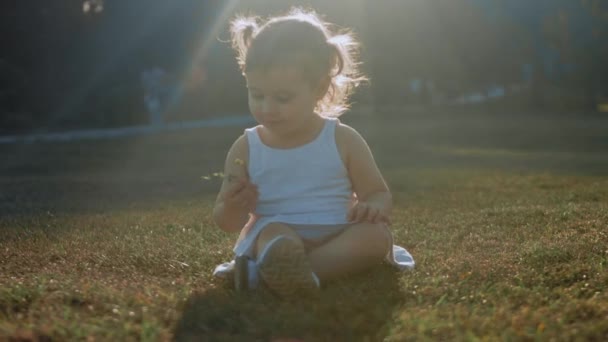 Feliz Niña Con Coletas Sentadas Hierba Verde Día Verano Concepto — Vídeos de Stock