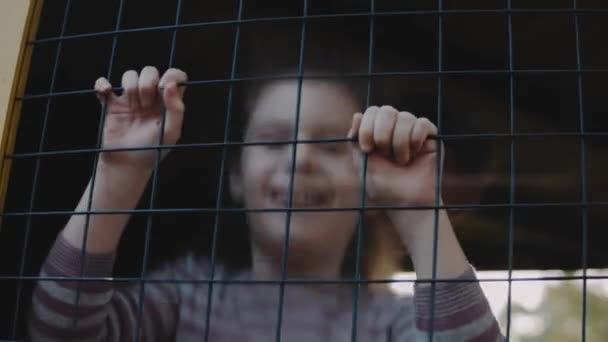 Маленька Дівчинка Розважається Дитячому Майданчику Стоїть Сіткою Посміхається — стокове відео