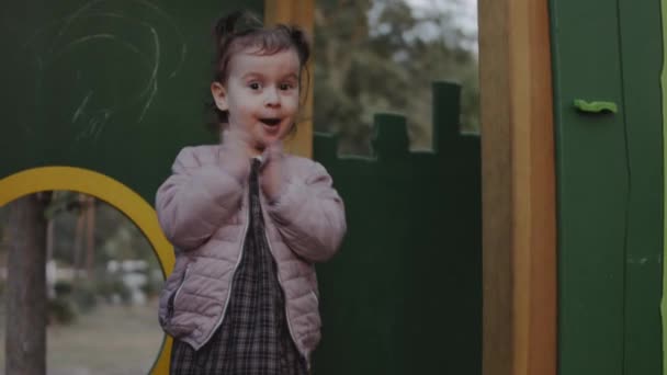 Küçük Kız Oyun Parkında Durup Etrafa Bakıyor Aile Çocuk Sağlıklı — Stok video