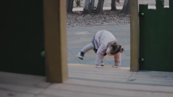 Happy Toddler Girl Having Fun Climbing Stairs Slide Playground Childhood — Stock Video