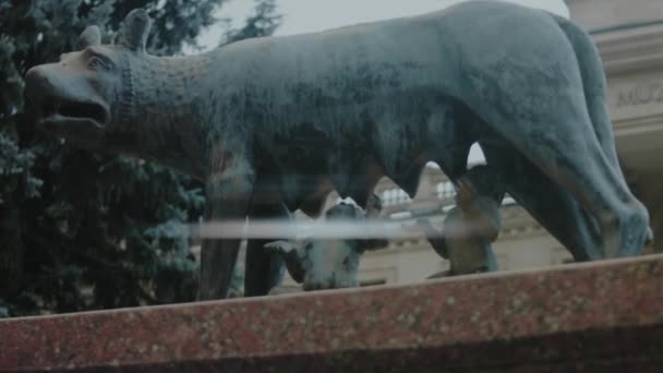 Μνημείο Capitoline Wolf Στο Κεντρικό Κισινάου Της Μολδαβίας — Αρχείο Βίντεο