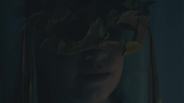 Portret Van Een Klein Meisje Met Een Herfstblad Masker Poserend — Stockvideo