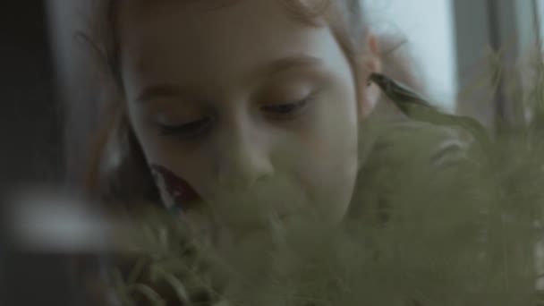 Yüzünde Uluslararası Hava Taşımacılığı Resmi Olan Neşeli Küçük Bir Kız — Stok video