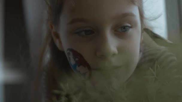 Vrolijk Klein Meisje Met Internationale Lucht Scheepvaart Schilderij Haar Gezicht — Stockvideo