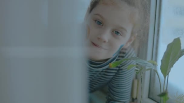 Cute Little Girl Wifi Obrazy Symboli Smartfona Twarzy Koncepcja Komunikacji — Wideo stockowe