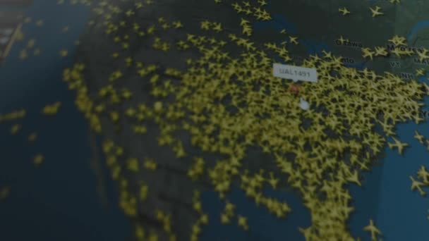 Transporte Aéreo Carga Mapa Global Seguimiento Línea Pantalla Del Ordenador — Vídeo de stock