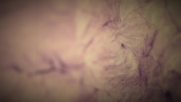 Абстрактный Фон Поверхности Жидкого Газа Планеты — стоковое видео
