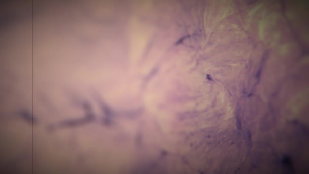 惑星の紫色の液体ガス表面の抽象的な背景 レトロシューティング — ストック動画