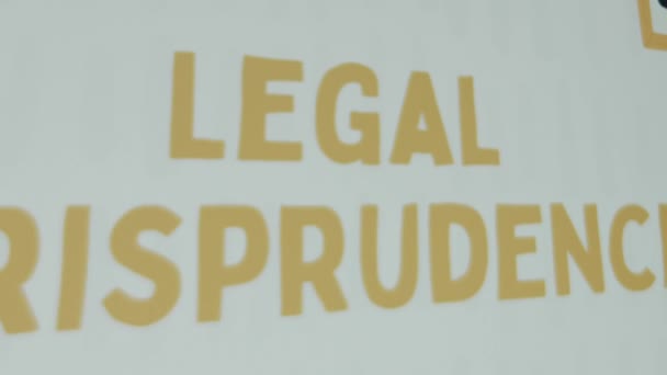 Legal Jurisprudence Inscription White Background Graphic Presentation Drawn Portraits Afro — Stock Video