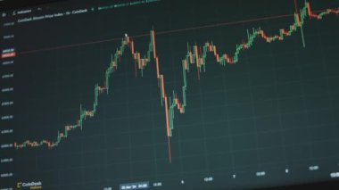 Bilgisayar ekranında mumlar olan Bitcoin para birimi grafiği. Grafik analizi için Fib Time Zone kullanılıyor. Kripto para ve finansal piyasa değerleri. Değişim konsepti
