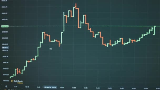 Bitcoin Price Graph Bars Computer Screen Cryptocurrency Financial Market Values — Stock Video