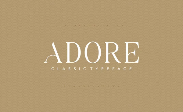 Lettering Minimalist Fashion Elegant Alphabet Letters Serif Font Number Typography — Stock Vector