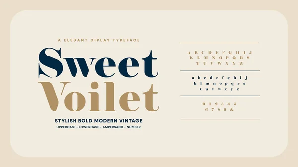 Elegant Vintage Typography Collection Romance Serif Fonts — Vetor de Stock