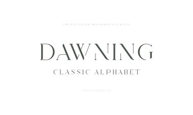 Harf alfabesi tasarımları. Tipografi modern serif yazı tipleri düzenli. Klasik ve klasik stil. Vektör illüstrasyonu.