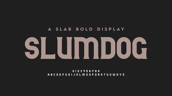 Minimalist alfabe tasarımı. Slap serif yazı tipi koleksiyonu. Yazı tipinin vektör illüstrasyonu.