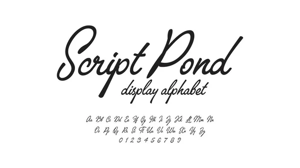 Script Font Display Alphabet Handwriting Stylish Fonts Set Typography Numbers — Stock Vector