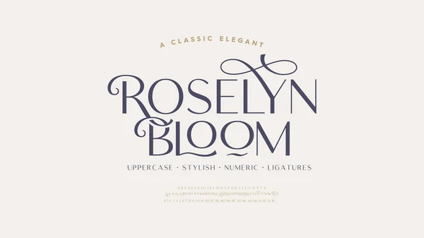 Klasik büyük harf süslemesi. Zarif alfabe harfleri yazı tipi ve numarası. Tipografi yazı tipleri normal büyük harf, küçük harf, alternatif ve bağlar. Vektör illüstrasyon tasarımı.