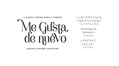 Ben Gusta de nuevo. Zarif alfabe harfleri yazı tipi. Tipografi yazı tipleri normal büyük ve küçük harf. Yazı tipinin a 'dan z' ye vektör illüstrasyonu.